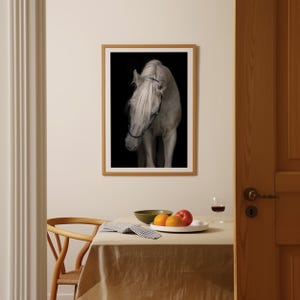Elegante stampa artistica di cavallo bianco – Graziosa fotografia equina, stampa extra large immagine 7