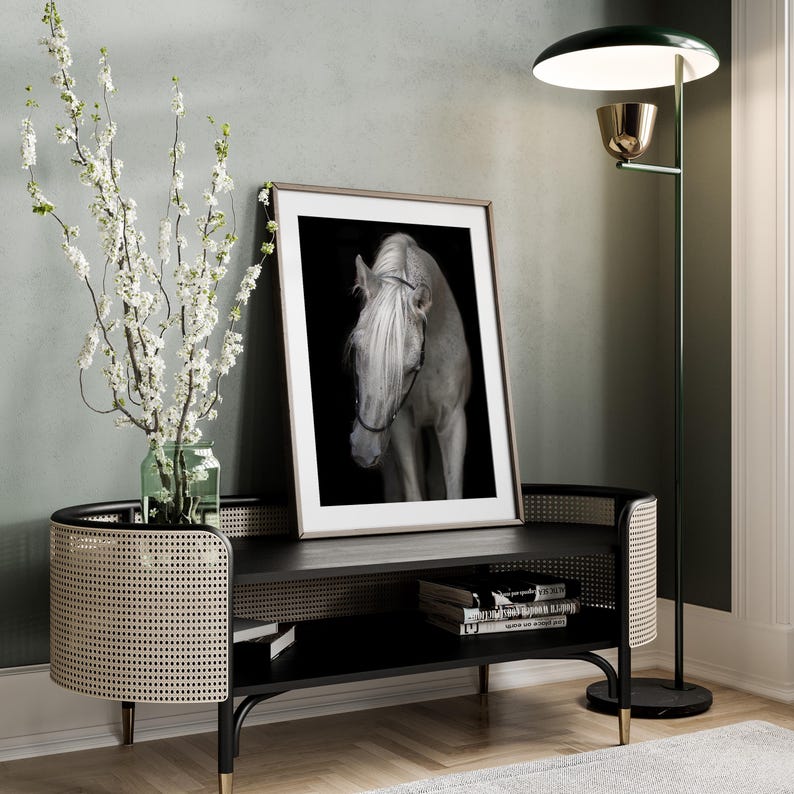 Elegante stampa artistica di cavallo bianco – Graziosa fotografia equina, stampa extra large immagine 6