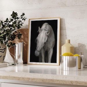Elegante stampa artistica di cavallo bianco – Graziosa fotografia equina, stampa extra large immagine 8