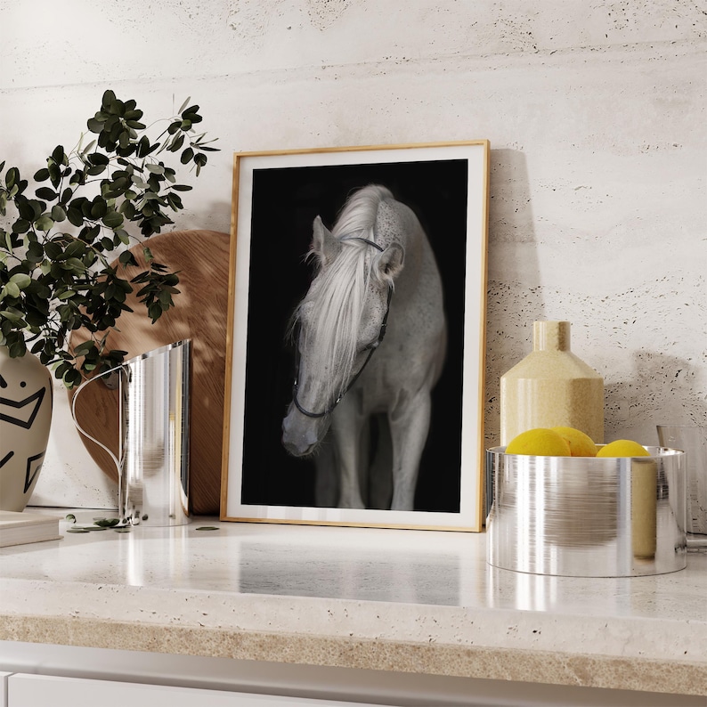 Elegante stampa artistica di cavallo bianco – Graziosa fotografia equina, stampa extra large immagine 8