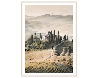 May include: A photograph of a house with a row of cypress trees leading up to it. The house is nestled in a rolling hillside with vineyards in the foreground. The sky is a soft, hazy blue.