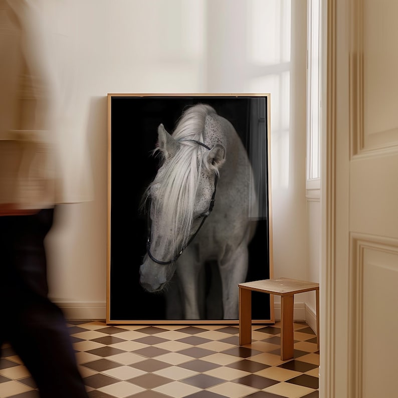 Elegante stampa artistica di cavallo bianco – Graziosa fotografia equina, stampa extra large Borderless
