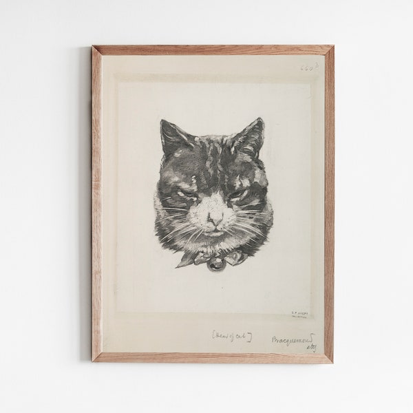 Vintage French Cat Sketching | Black and White Cat Etching Farmhouse Decor | Felix Bracquemond | R136