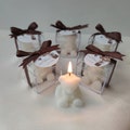 Bear Candle, Baby Shower Candle, Baby Shower Guest Favors, New Born Gift, We Can Bearly Wait Baby Shower, Teddy Bear Candle, Baptism Favors