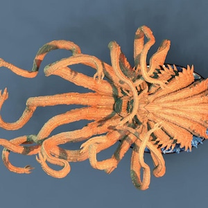May include: An orange, tentacled sculpture with a detailed, textured surface. The tentacles radiate outwards from a central point, with some curving and extending beyond the frame. The sculpture has a dark blue background.
