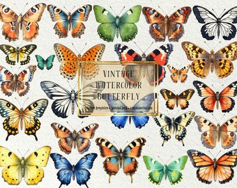 Vintage Watercolor Butterfly Clipart Bundle – Commercial Use (PNG)