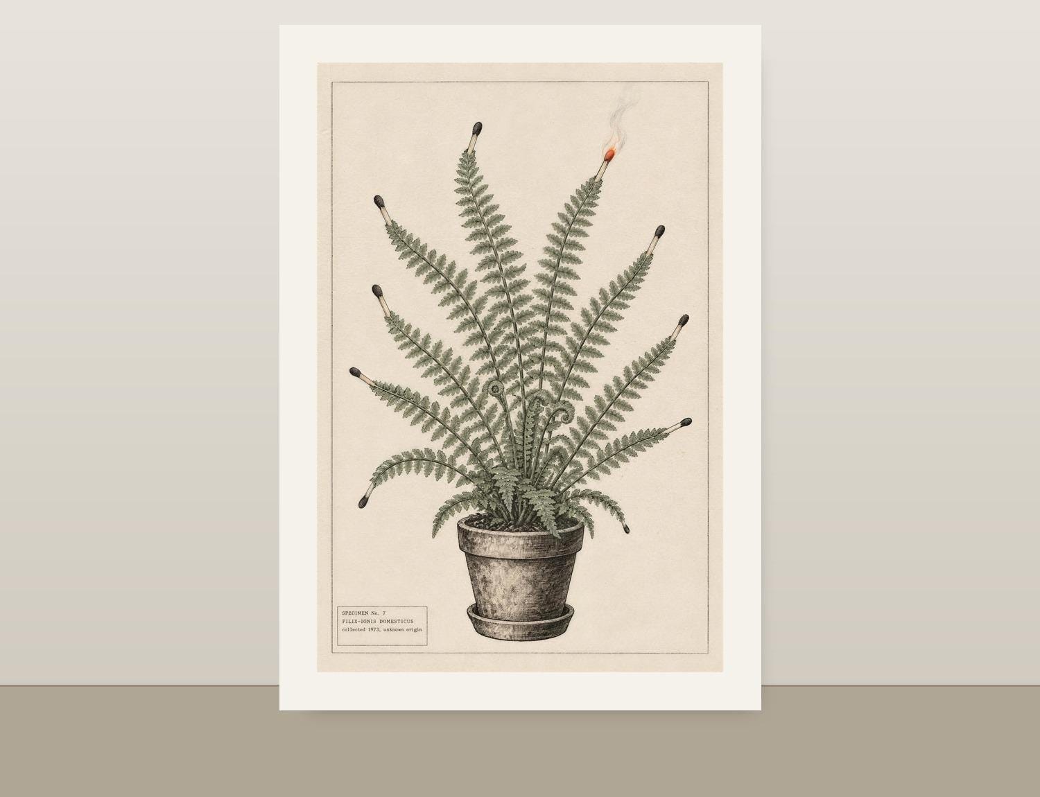 ヴィンテージ植物標本 - Etsy 日本