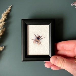 Op de afbeelding: Een ingelijst aquarel schilderij van een hommel met bruine en gele strepen. Het schilderij is op een witte achtergrond en is ingelijst in een zwart frame.