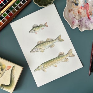 Retro-Stil Fisch Poster, Aquarell Kunstdruck für Landhaus Wohnzimmer, Geschenk für Fischliebhaber, Küsten Wohnkultur