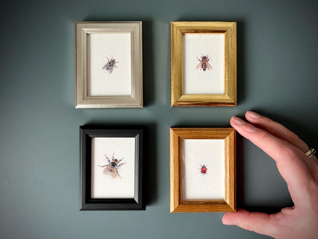 Framed Insect Print Set: Tiny Vintage Style Bug Art for Botanical ...