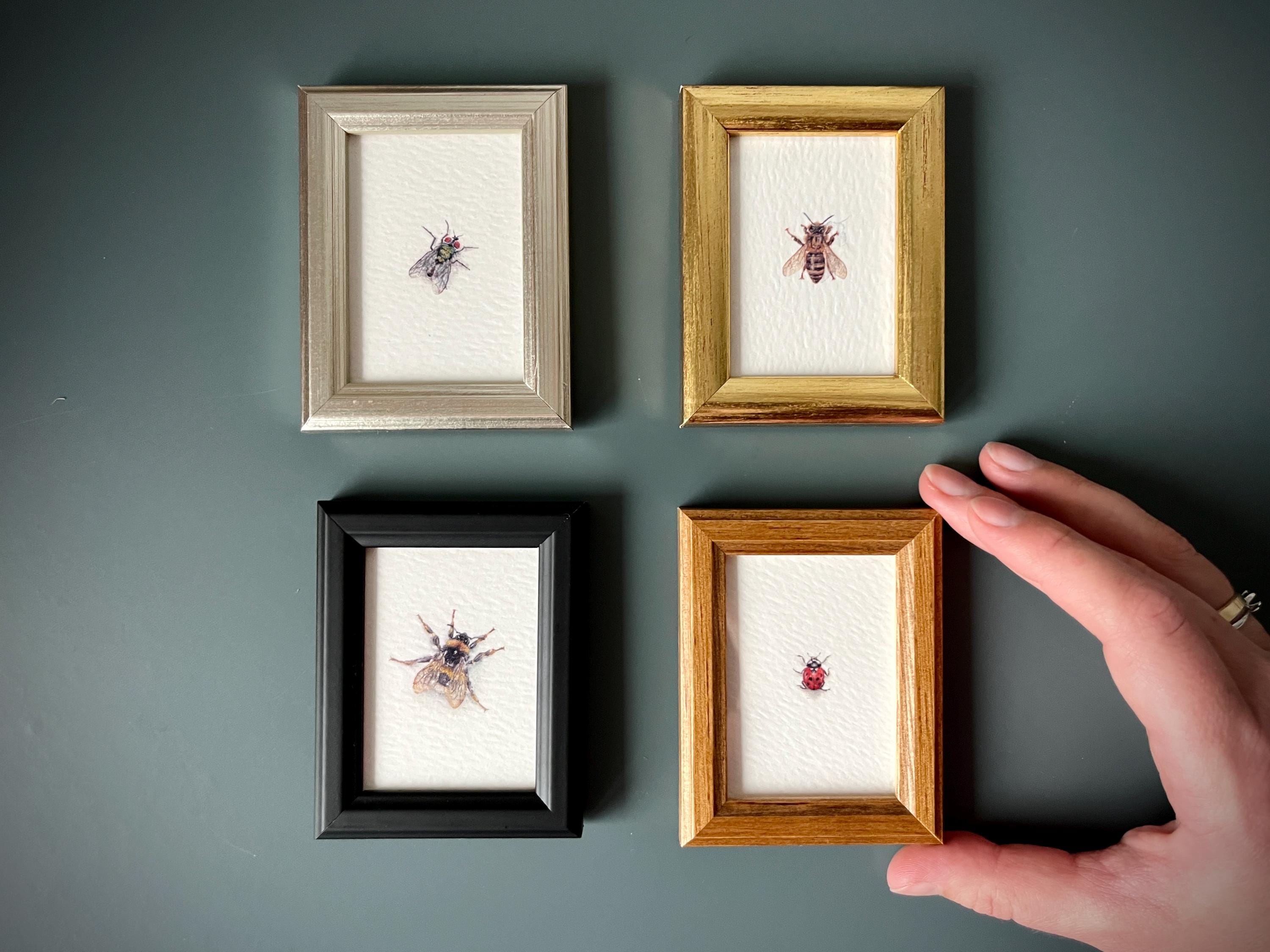 Framed Insect Print Set: Tiny Vintage Style Bug Art for Botanical ...