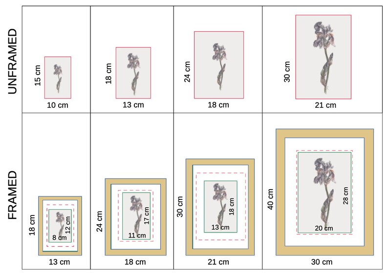 Chart displaying sizes of unframed and framed prints.