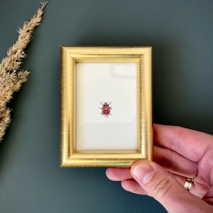 Può includere: Piccola immagine con cornice dorata che presenta un dipinto ad acquerello dettagliato di una coccinella rossa con pois neri. La cornice ha una finitura metallica strutturata. L'opera d'arte è tenuta da una mano su uno sfondo verde acqua scuro.