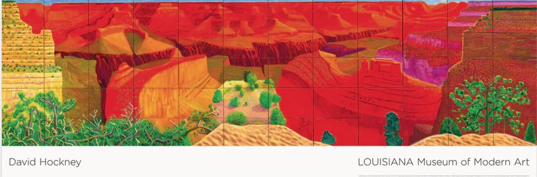 HOCKNEY POSTERS
ハードカバー David Hockney: Poster Art: David Hockney, Brian Baggot