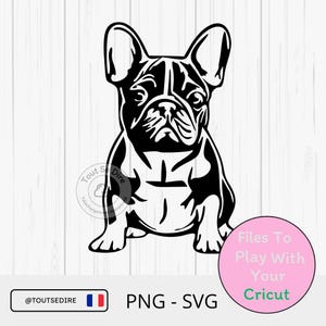Téléchargement numérique SVG PNG bouledogue français de qualité premium pour t shirt tasse tote bag stickers Sublimation ToutSeDire