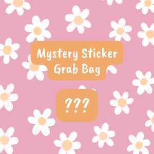 Cute Mystery Sticker Grab Bag, Random Sticker Pack, Sticker Bundle, Mystery Sticker Surprise Bag