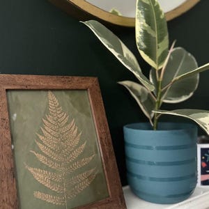 May include: A framed print of a gold fern on a green background, with a potted plant with variegated leaves in the background. The plant is in a teal blue planter with white stripes.