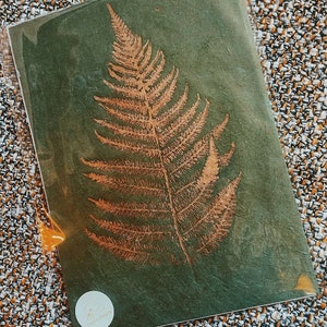 May include: A gold fern leaf pressed onto a dark green background. The leaf is a natural element and is pressed onto a handmade paper. The paper has a textured surface.