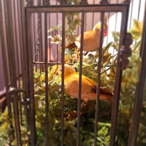 Gorgeous Italian brass and wood birdcage