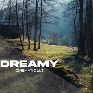Dreamy | Cinematic LUT for Color Grading S-LOG3