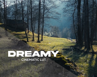 Dreamy | Cinematic LUT for Color Grading S-LOG3