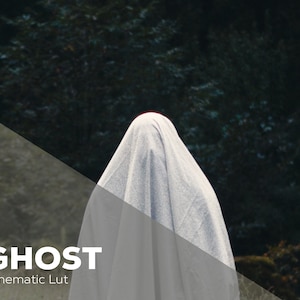 Ghost | Cinematic LUT for Color Grading S-LOG3