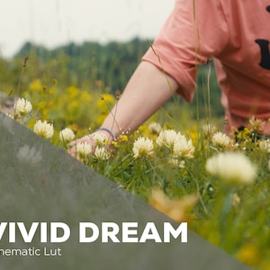 Vivid Dream | Cinematic LUT for Color Grading S-LOG3