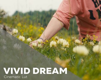 Sogno vivido/LUT cinematografico per la gradazione del colore S-LOG3