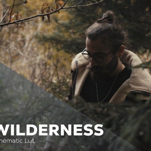 Wilderness | Cinematic LUT for Color Grading S-LOG3