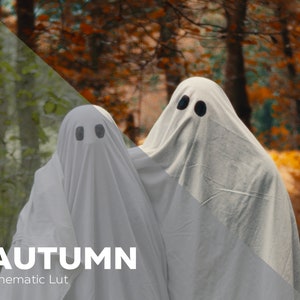 Autumn | Cinematic LUT for Color Grading S-LOG3