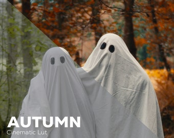 LUT autunnale/cinematografica per il color grading S-LOG3