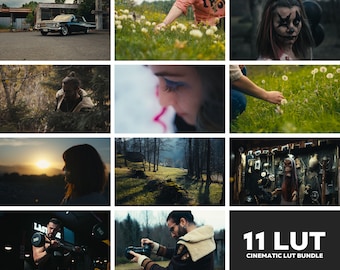 Bundle | 11 Luts | Cinematic LUT for Color Grading S-LOG3