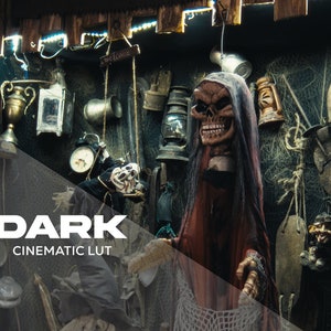 Dark | Cinematic LUT for Color Grading S-LOG3