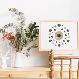 Original Real Pressed Flower Art, Pressed Floral Art, Real Dried Plants, Preserved Flowers, Framed Florals, Flower Wall Decor, Real Florals