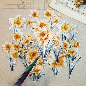 Pegatinas / Pegatinas de narcisos en acuarela / Pegatinas de acuarela I Flores / Pegatinas estéticas / Suministros para diario / Juego de 10