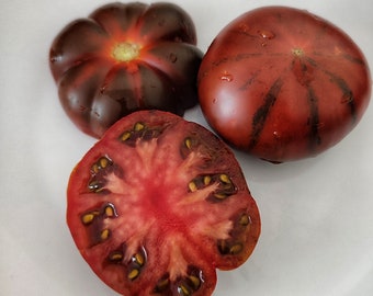 Samenfeste Tomaten Samen, deutsche Kreuzung Tomate aus Bayern, Gemüse Sorten, Marshmallow Cherokee Purple Zucker Fleischtomate