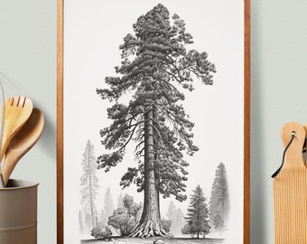 Minimalist Giant Sequoia Sketch Poster | Black and white Download