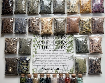 MINI Deluxe Witchcraft Apothecary Kit | Apothecary Herbs | Spell Work | Botanicals | Loose Incense | Witchcraft Supplies | Witch Kits