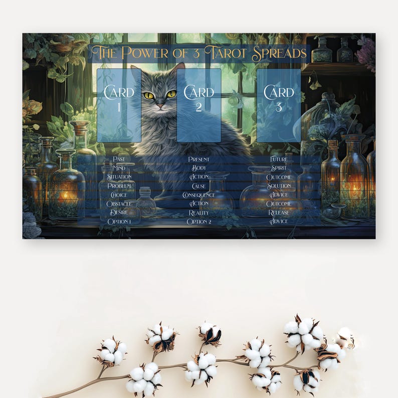 May include: A tarot card spread with three cards, labeled "Card 1", "Card 2", and "Card 3". The spread is titled "The Power of 3 Tarot Spreads". A gray cat sits in front of the cards, looking at the viewer. The background is a dark, mystical scene with bottles and jars.