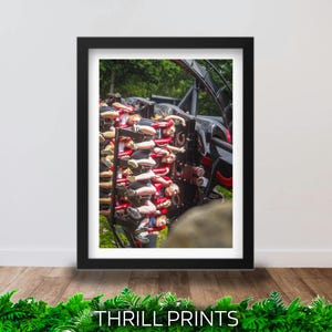 May include: Framed print of a roller coaster in action, with passengers strapped in. The coaster is black and red, with riders in various outfits. The print is on a wooden floor with greenery at the bottom. The text "THRILL PRINTS" is visible.
