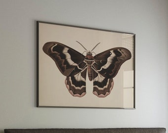 Vintage Moth Art Print, Moody Wall Art Eclectic Vintage, Goblincore Cottagecore Decor Dark Academia Prints, Canvas Large Wall Art Dark #313