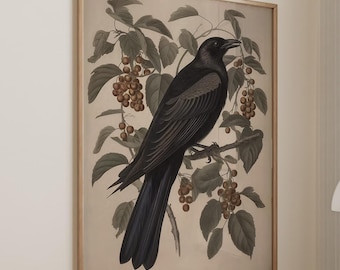 Raven Vintage Inspired Crow Print Moody Wall Art Eclectic Goblincore Cottagecore Decor Dark Academia Prints Canvas Large Wall Art #319