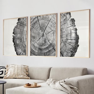 Może przedstawiać: Trzy czarno-białe wydruki w ramach przedstawiające słoje drzew na białej ścianie nad jasnoszarą sofą narożną z białym kocem i małym drewnianym taboretem.