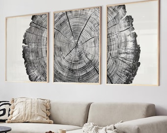 May include: Three black and white framed prints of tree rings on a white wall above a light gray sectional sofa with a white throw blanket and a small wooden stool.