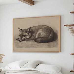 Fox Sketch Line Drawing, Moody Wall Art Eclectic Vintage, Goblincore Cottagecore Decor Dark Academia Prints, Canvas Large Wall Art Dark #312