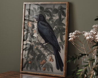 Raven Vintage Crow Print, Moody Wall Art Eclectic Vintage, Goblincore Cottagecore Decor Dark Academia Prints Canvas Large Wall Art #318