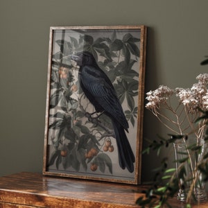 Raven Vintage Crow Print, Moody Wall Art Eclectic Vintage, Goblincore Cottagecore Decor Dark Academia Prints Canvas Large Wall Art #318