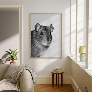 Rat Fashion Magazine Inspired Poster Animal Portrait Photography Print ...