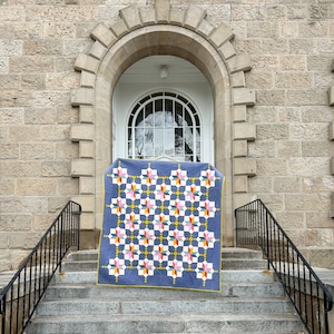 Peut inclure: Une courtepointe bleue avec un motif géométrique d'étoiles blanches, jaunes, roses, rouges et vertes. La courtepointe est pliée et appuyée contre un bâtiment en pierre avec une porte blanche et une porte cintrée.