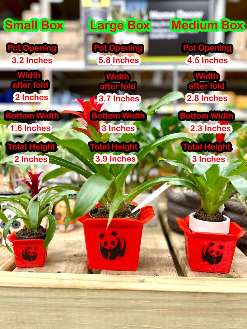 Chinese Panda Planter Take Out Box, Chinese Planter Gift, to Go Box